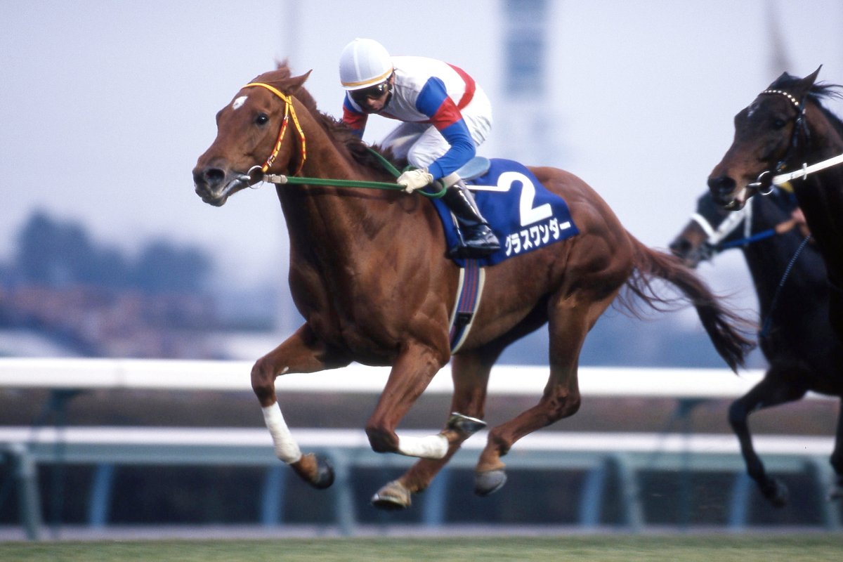 競馬】 グラスワンダー 当選品 スペシャルカード 045of100 当選通知付