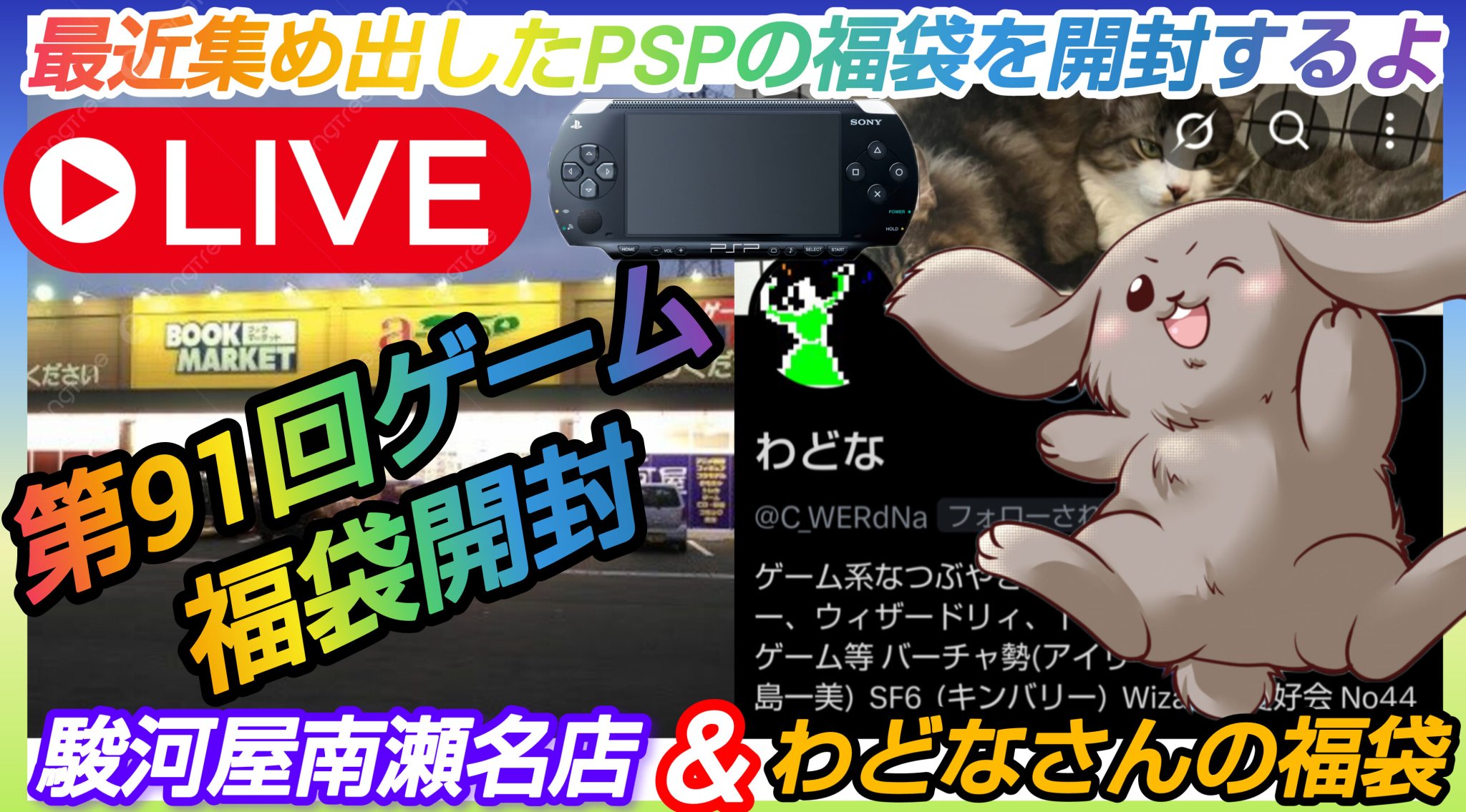 🐇うさぎのまめた🐇 on X: 