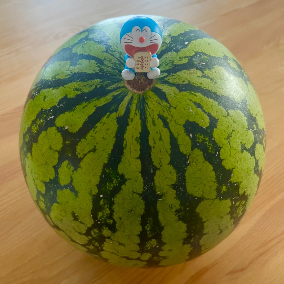 スイカ大好き！