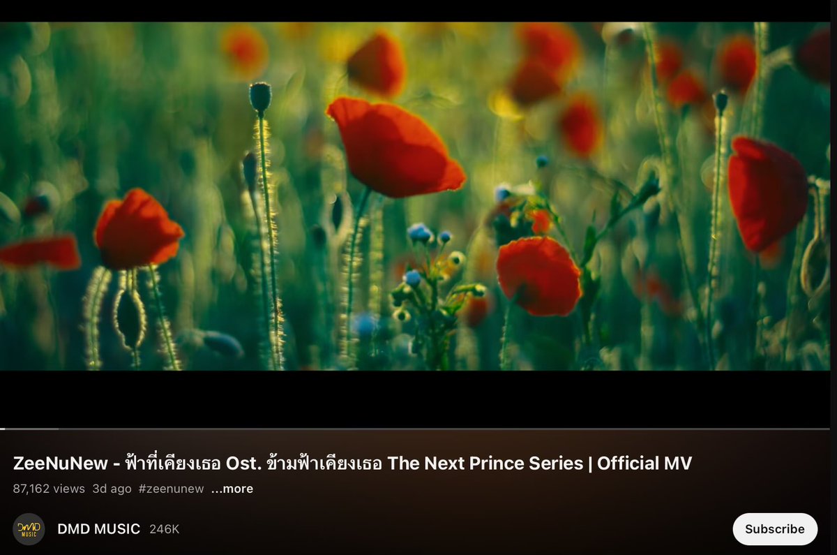 3 วันแร้วแสนยังไม่แตกเลยทุกคนนน มามุงน้องฟ้าเคียงเธอหน่อยเร็ววว เพลงสุดท้ายของน้องข้ามฟ้าเรยน้า ยอดจุ๊บจิ๊บมาก ฮื้อออ
((เค้ารู้หมดว่านี่ไม่กดซับช่อง 5555555))
#ZeeNuNew