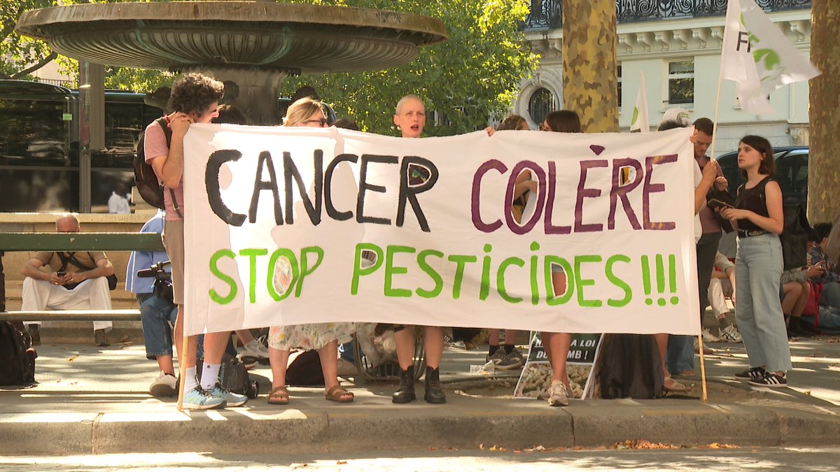 C dans l'air tweet media