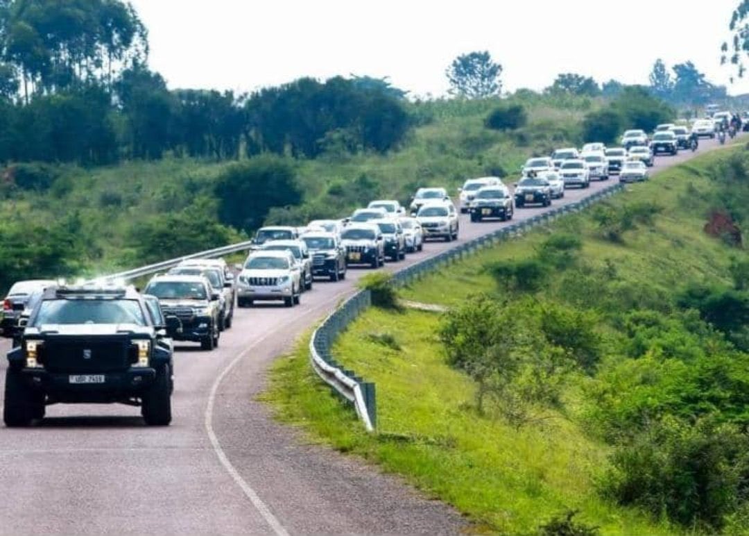 Insects when aparticle of sugar falls down😂