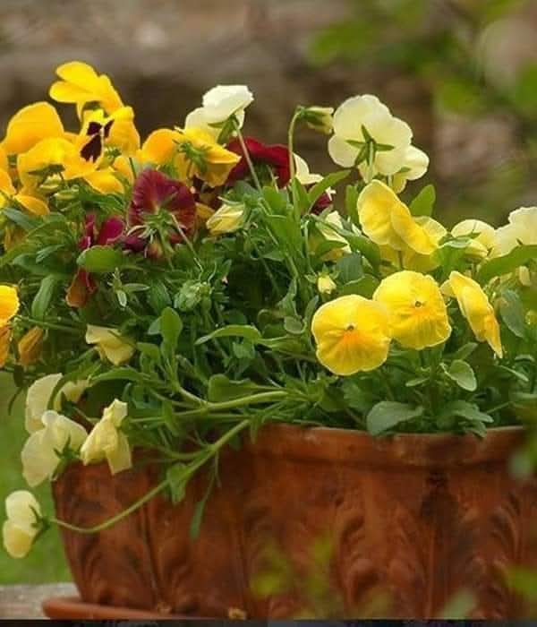 Bom dia! ☕️
Que o melhor dos dias lhe esteja reservado hoje, e o mais belo dos sonhos para quando a noite chegar. 

Eliaxe Mondarck