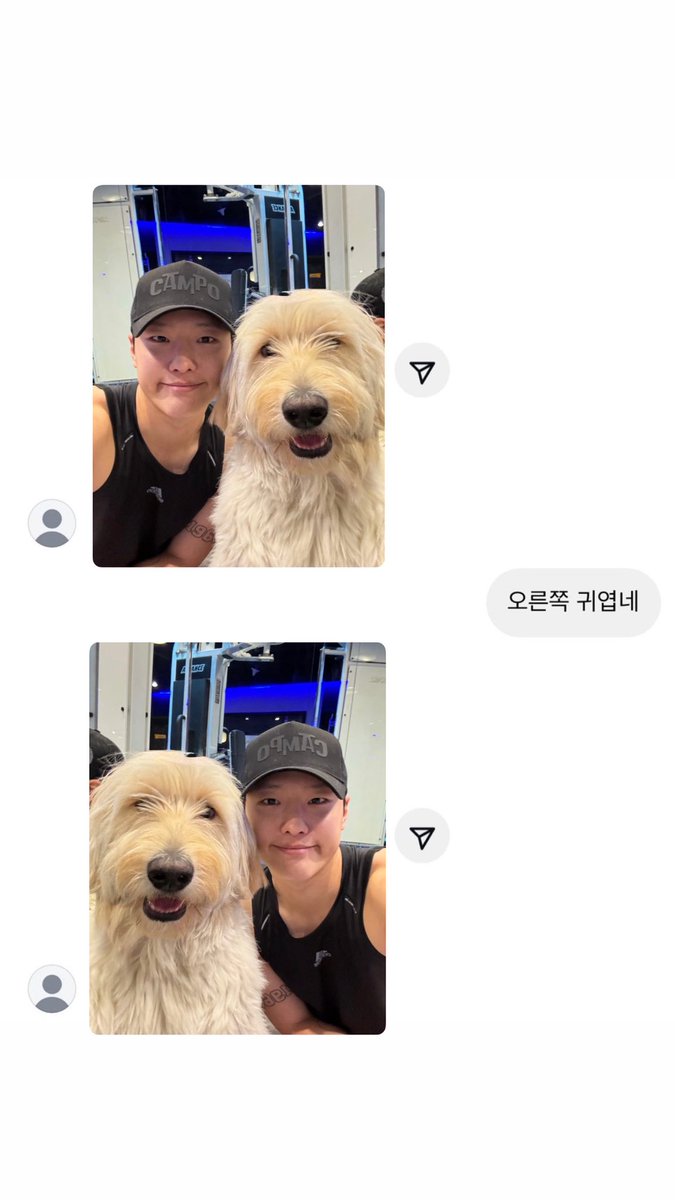 미쯔 (@miizzue) on Twitter photo 