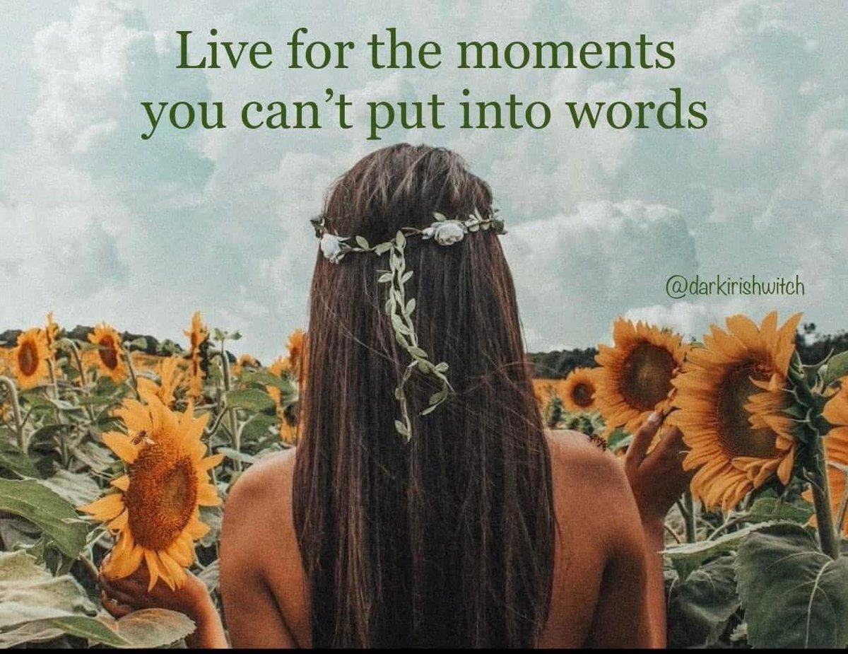 witchravenwood's tweet image. Today's #witchywisdom 🌻