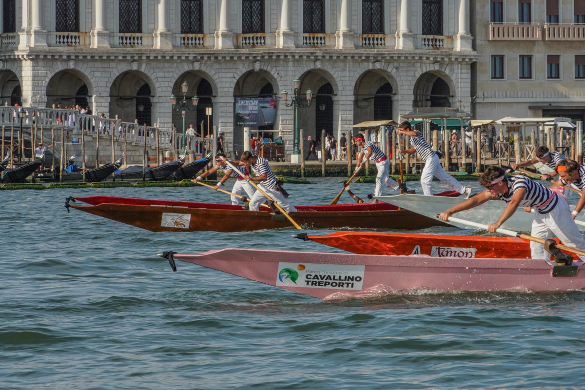 Aspettando la #RegataStorica2025 🛶

📍 Domenica #7settembre a #Venezia 
📲 regatastoricavenezia.it

📸 In foto i PUPPARINI

#VeneziaSerenissima ❤️🦁
#VeneziaUnica