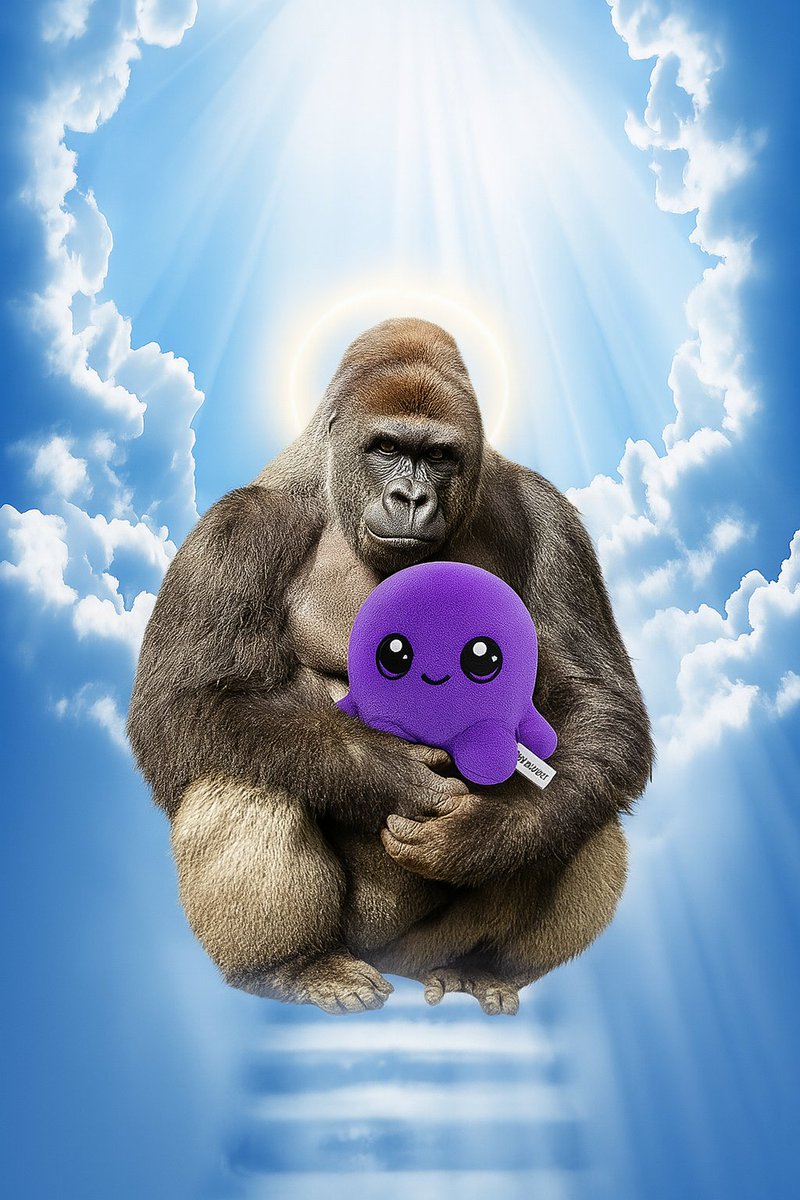 It's mascot season over on $Ink (<a href="/krakenfx/">Kraken</a> L2). A flood of liquidity is going to hit over the coming months with Ink's TGE.

$Anita is already running (150X over the past month). $Beast is just getting started. 

There will be a lot of other clear winners, too.