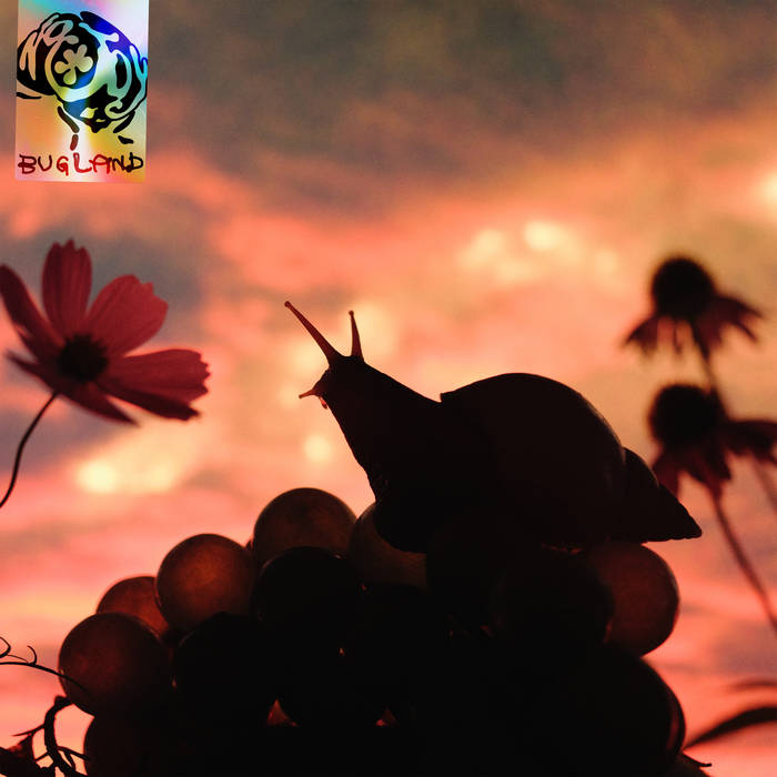 shoegazeralive's tweet image. No Joy - Bugland (2025)

shoegazeralive9.blogspot.com/2025/08/no-joy…

#nojoy #shoegaze #2025 #bandcamp