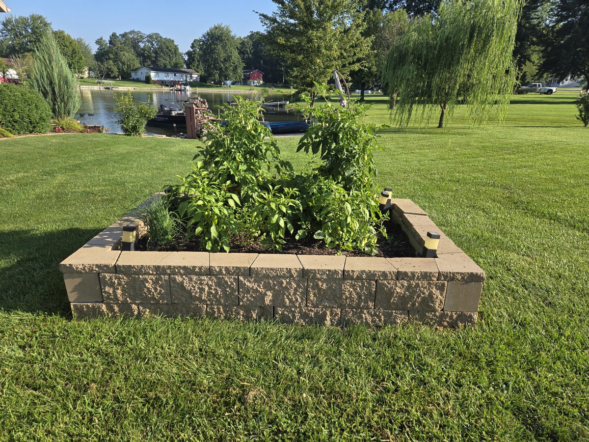 My tiny garden