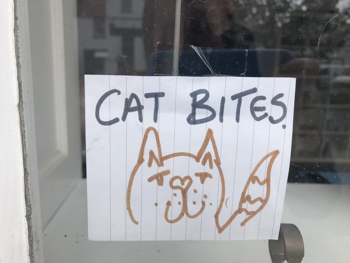 Happy #InternationalCatDay from the cats of #pittenweemartsfestival25