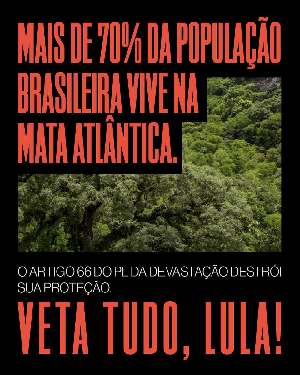 É hoje! Lula tem poucas horas para vetar o PL da Devastação, a hora de desarmar essa bomba é agora: veta tudo, Lula!

O maior retrocesso ambiental da história do Brasil pode piorar a vida de mais de 70% da população, além de colocar centenas de espécies vegetais e animais em