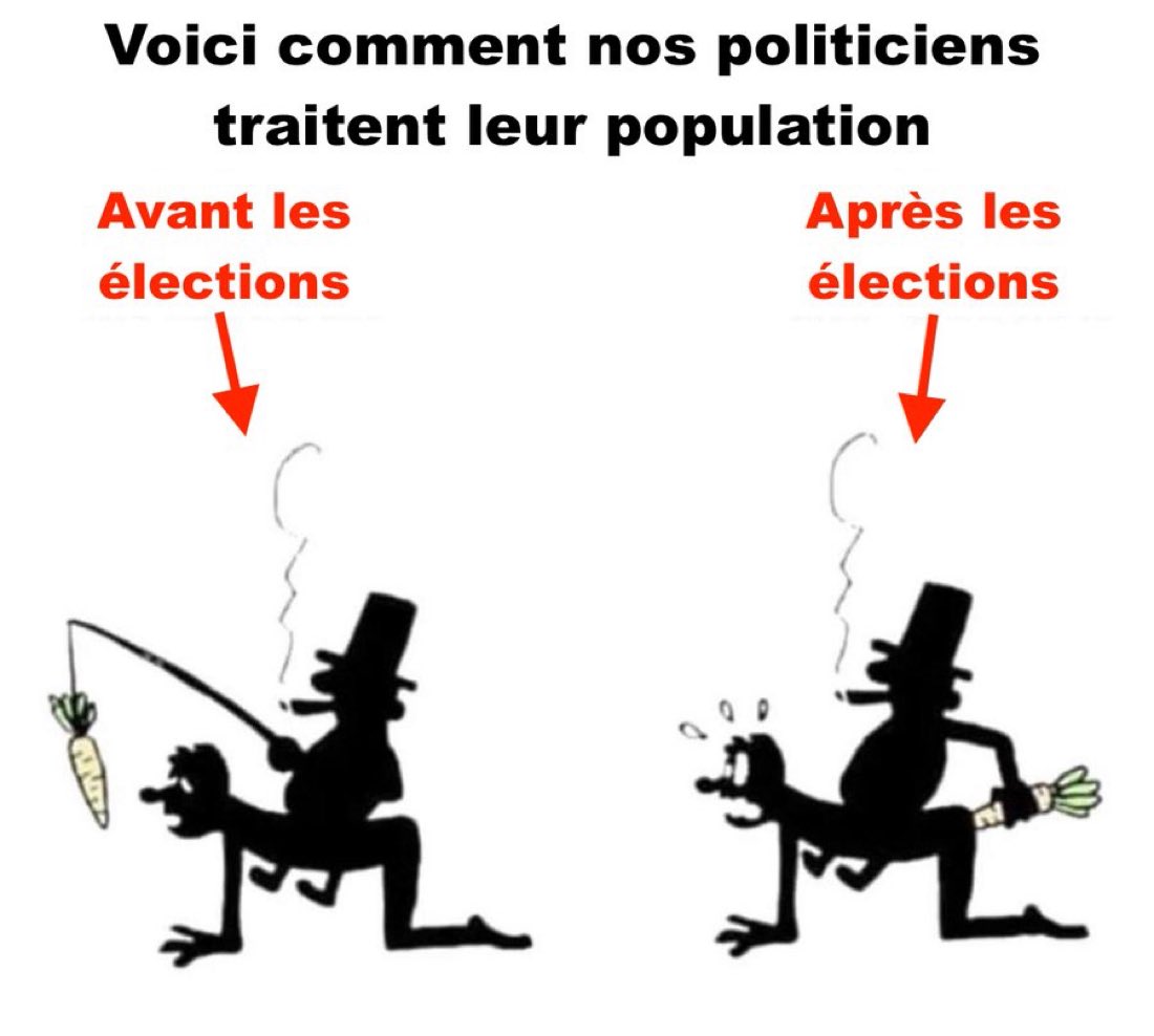 _Pascal_N's tweet image. 