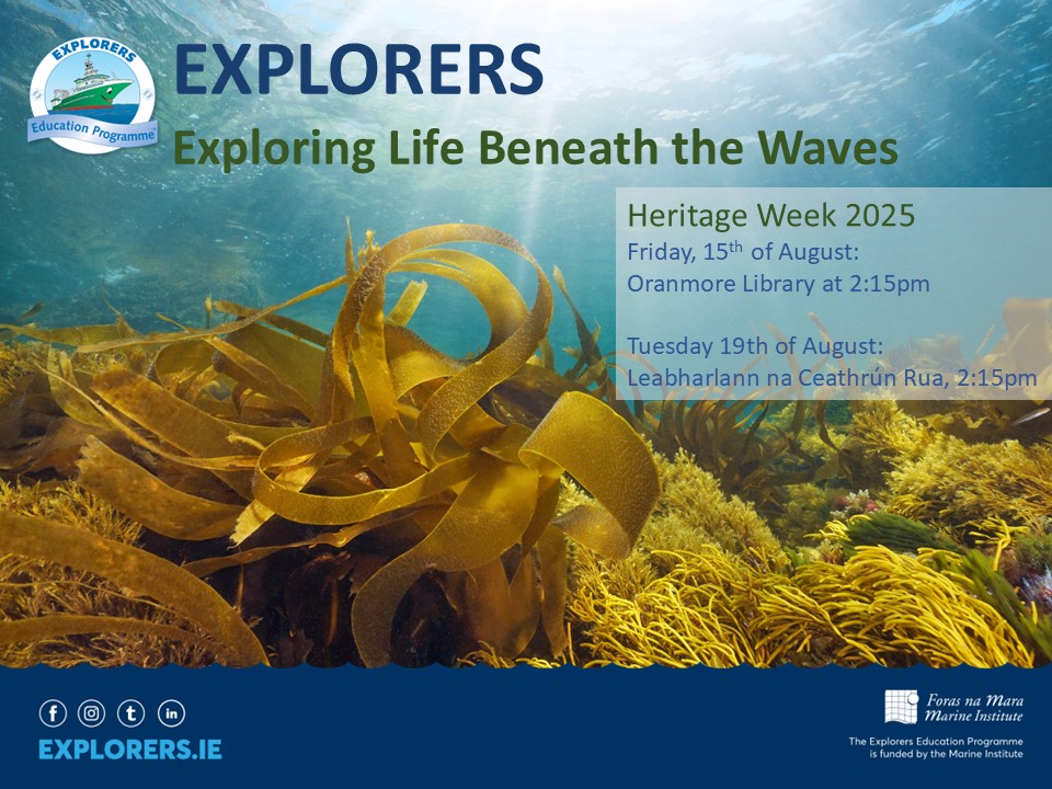 Heritage Week is coming up!
Join the Explorers Team to explore Life beneath the Waves. 🌊
Examine a range of marine biofacts, from whale bones to 🐚seashells, and explore their adaptations to life in the ocean, through a number of hands-on investigations. Take part in our