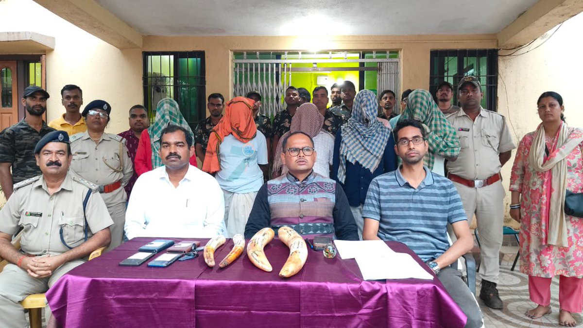 With a credible inputs from Simplipal Wildlife Intelligence Network,a raid was conducted led by ACF Sudipta Panda seized 4 tusks,4 mobiles ,two 2 wheeler vehicles &amp; detained 5 persons in Nayakote PS.
<a href="/CMO_Odisha/">CMO Odisha</a> <a href="/ForestDeptt/">Odisha Forest, Env. and Climate Change Department</a> <a href="/PCCFWL_Odisha/">PCCF WL & CWLW, Odisha</a> <a href="/pccfodisha/">PCCF & HoFF Odisha</a> <a href="/WCCBHQ/">Wildlife Crime Control Bureau</a> <a href="/moefcc/">MoEF&CC</a> <a href="/spkeonjhar/">SP Keonjhar</a>