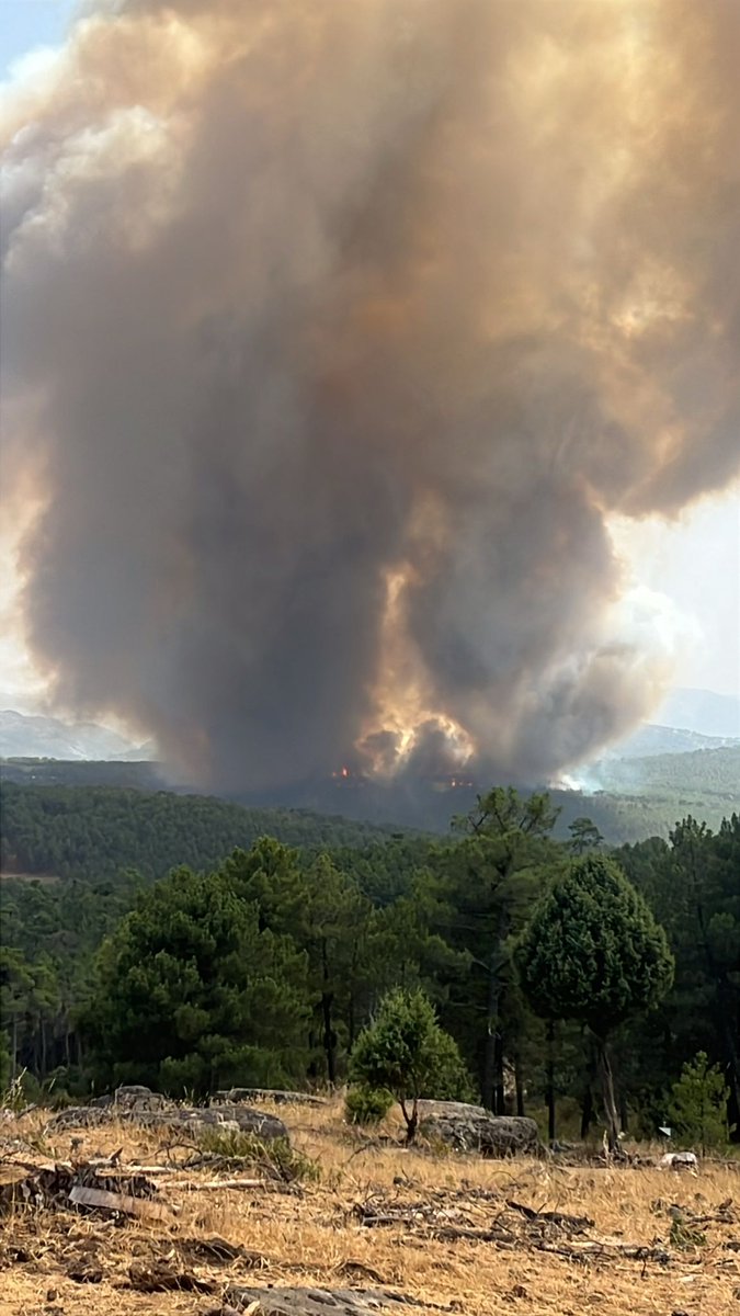Meteoavila2 tweet picture