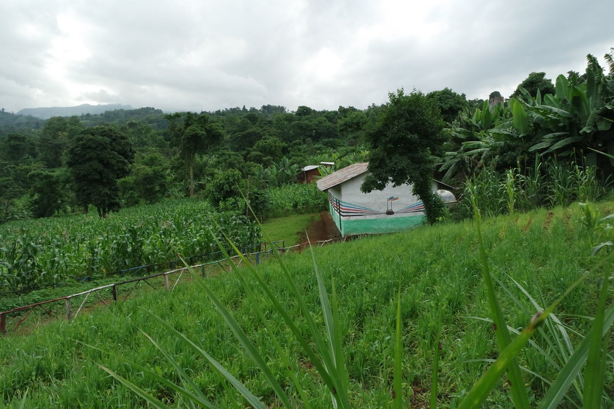 Strengthening #WASH systems means strengthening community health, improving lives, and building resilience. A community free from WASH-related challenges is a community empowered to thrive. <a href="/FMoHealth/">Ministry of Health ETHIOPIA</a> <a href="/HItefa/">Habtamu Itefa Geleta, PhD</a>  #water #health #sanitation #hygiene