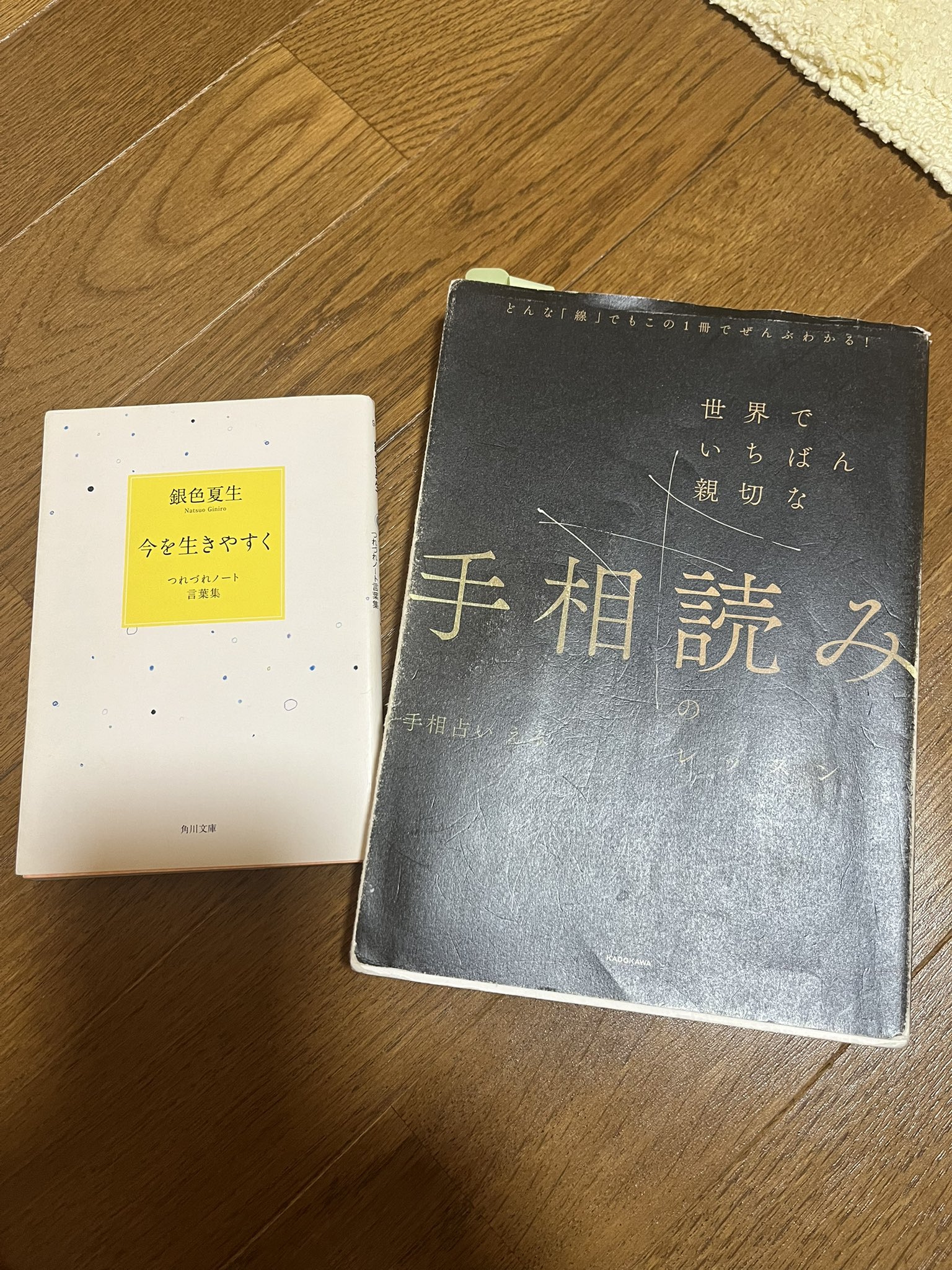 えみページ（他の方はリンクからお進みください）　独学　鑑定　本　占い えみページ（他の方はリンクからお進みください） 独学 鑑定 本