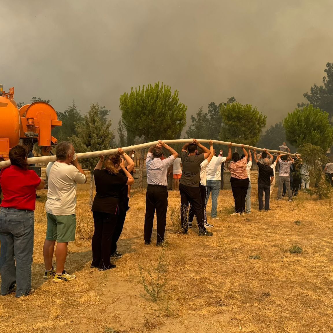 buluttan tweet media