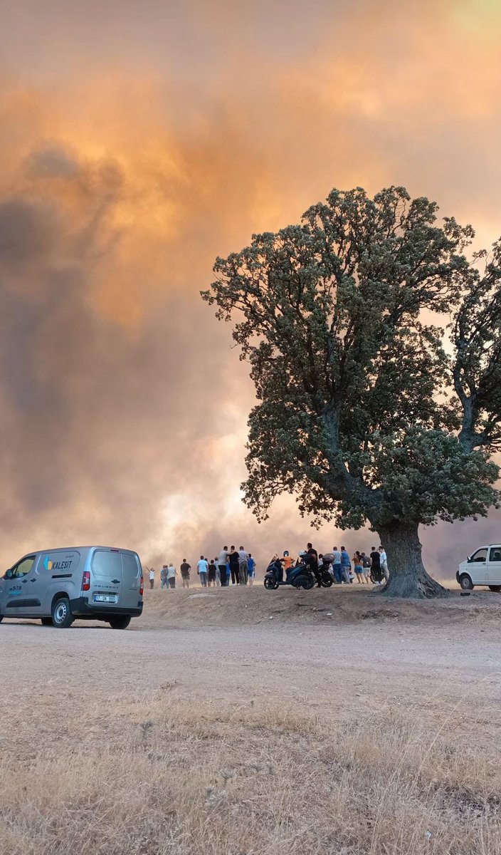 buluttan tweet media