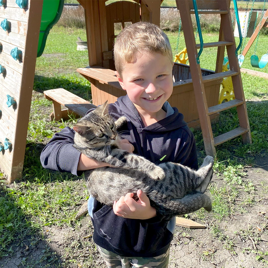If you've got a sugarbeet farm, chances are you’ve got a farm kitty or two wandering around as well. 😺 

For International Cat Day, we want to meet your feline farmhands! 📸 Drop a pic of your farm cats in the comments.