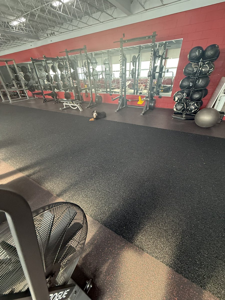 Cahguwop (@caheemgindraw) on Twitter photo off day on a friday morning i could’ve slept in today but no i decided to get inna gym at 8am and get more stronger and explosive because i can’t rest until i get where i wanna be💯
<a href="/CoachTMorg/">Tavious Morgan</a> <a href="/AppoFootball/">Appo 🐾🐾Football</a> off day on a friday morning i could’ve slept in today but no i decided to get inna gym at 8am and get more stronger and explosive because i can’t rest until i get where i wanna be💯
<a href="/CoachTMorg/">Tavious Morgan</a> <a href="/AppoFootball/">Appo 🐾🐾Football</a>