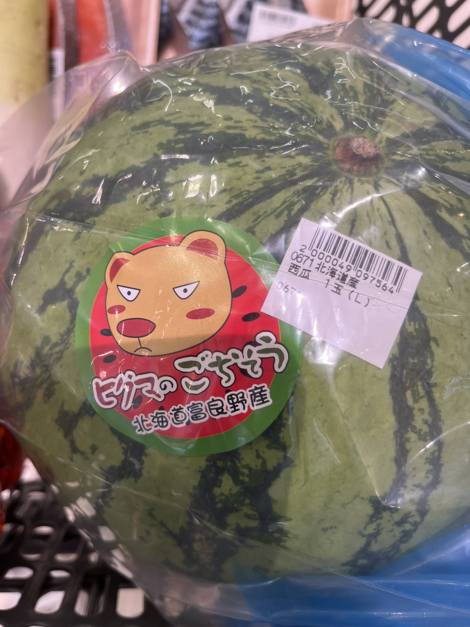 たろきち DSCN6440_large.jpg?v=1718915637