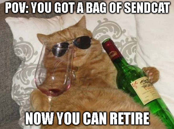jup_cat69's tweet photo. #sendcat watching the chart https://t.co/Pwu2JKUY8y