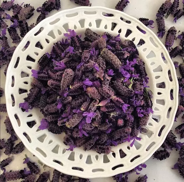 Hastalikogrenn's tweet image. Karabaş otu çayı içmek, migren ve sinüzit gibi baş ağrılarına sebep olan beyindeki tıkalı damarları açarak ağrıyı kesip rahatlatır.

-Ali İhsan Tola