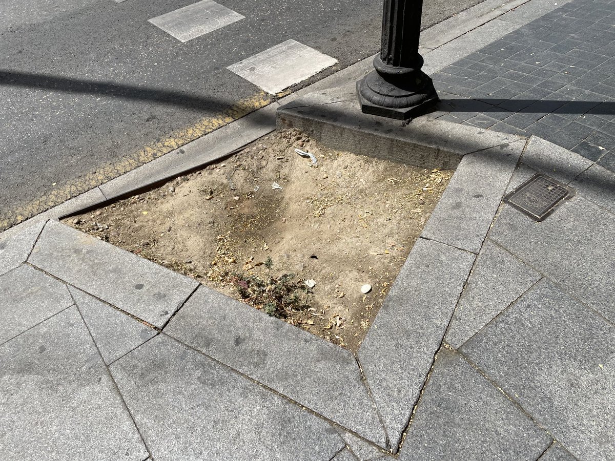 Hace años que la Plaza Tirso De Molina perdió zonas de sombra porque nunca se repusieron los árboles de estos alcorques. Llevamos meses de alertas de calor. ¿Cuándo llegarán los árboles? ⁦<a href="/Lineamadrid/">Línea Madrid</a>⁩ Números 20, 18 y 17