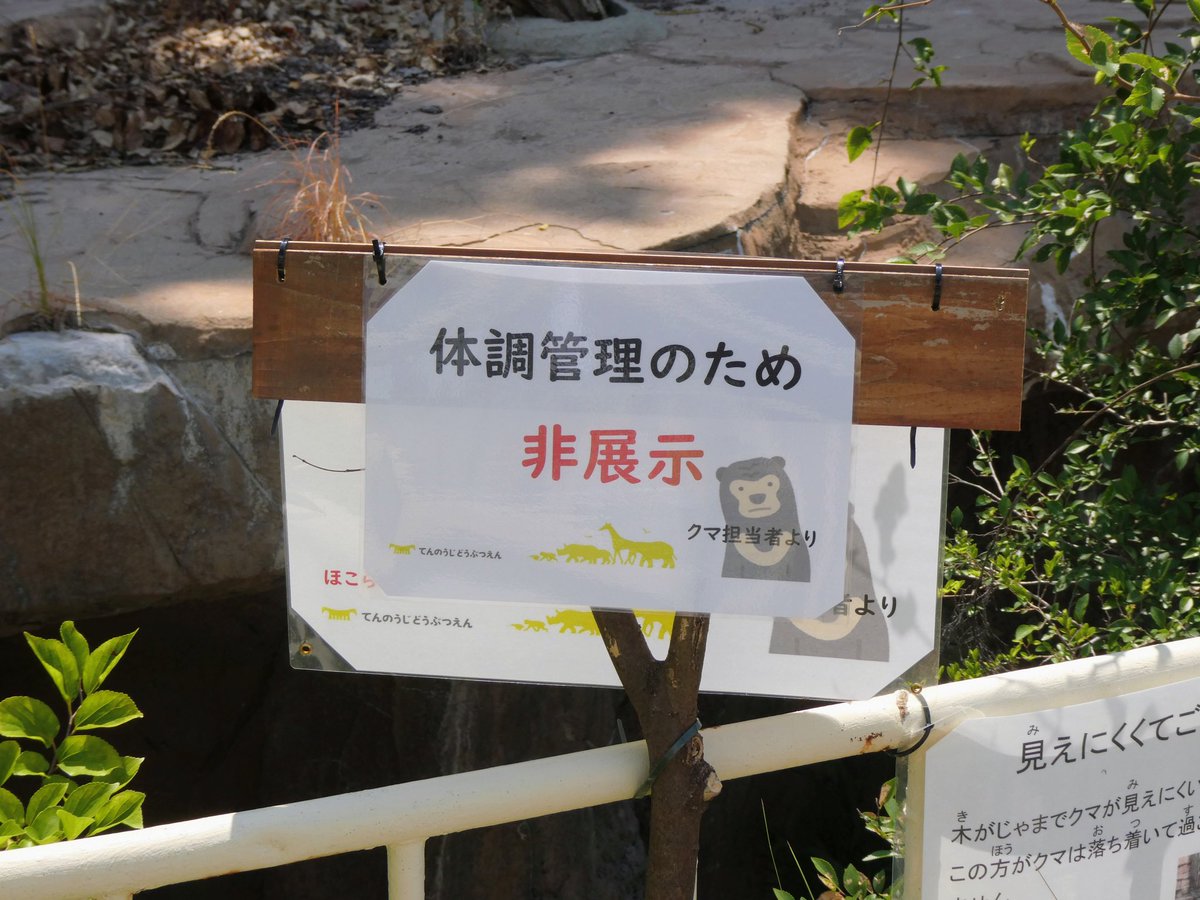 プッペさんにひと目会いたかったけどこの暑さじゃ仕方がないよね🥲

また会える日を待ってます！

#天王寺動物園