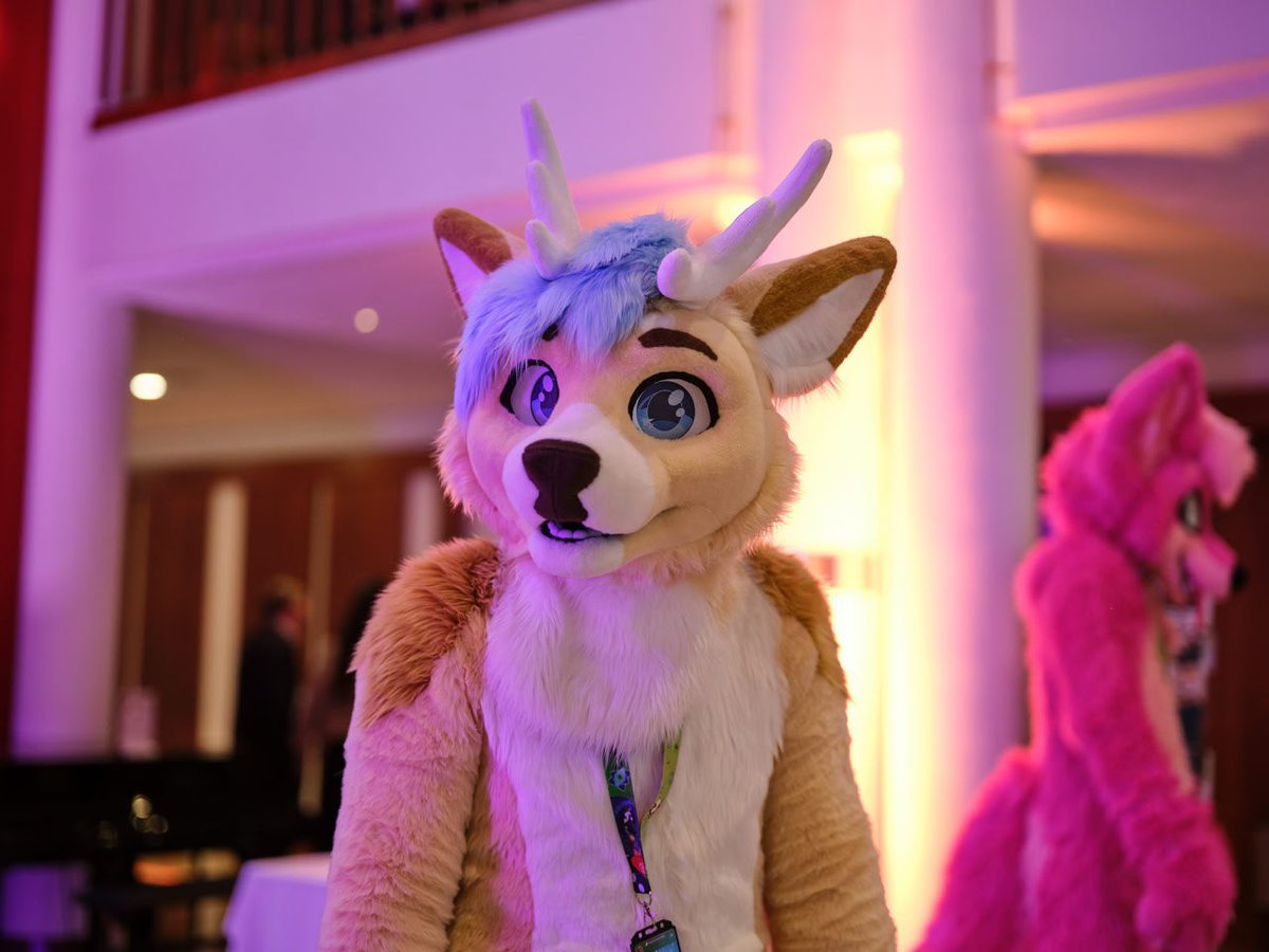 Wax Blauwyld (@blauwyld) on Twitter photo From Awoostria to EF and GLC. This deer will soon be at a convention near you!
πΈ <a href="/LightOfSolaris1/">LightOfSolaris π Megaplex</a> From Awoostria to EF and GLC. This deer will soon be at a convention near you!
πΈ <a href="/LightOfSolaris1/">LightOfSolaris π Megaplex</a>