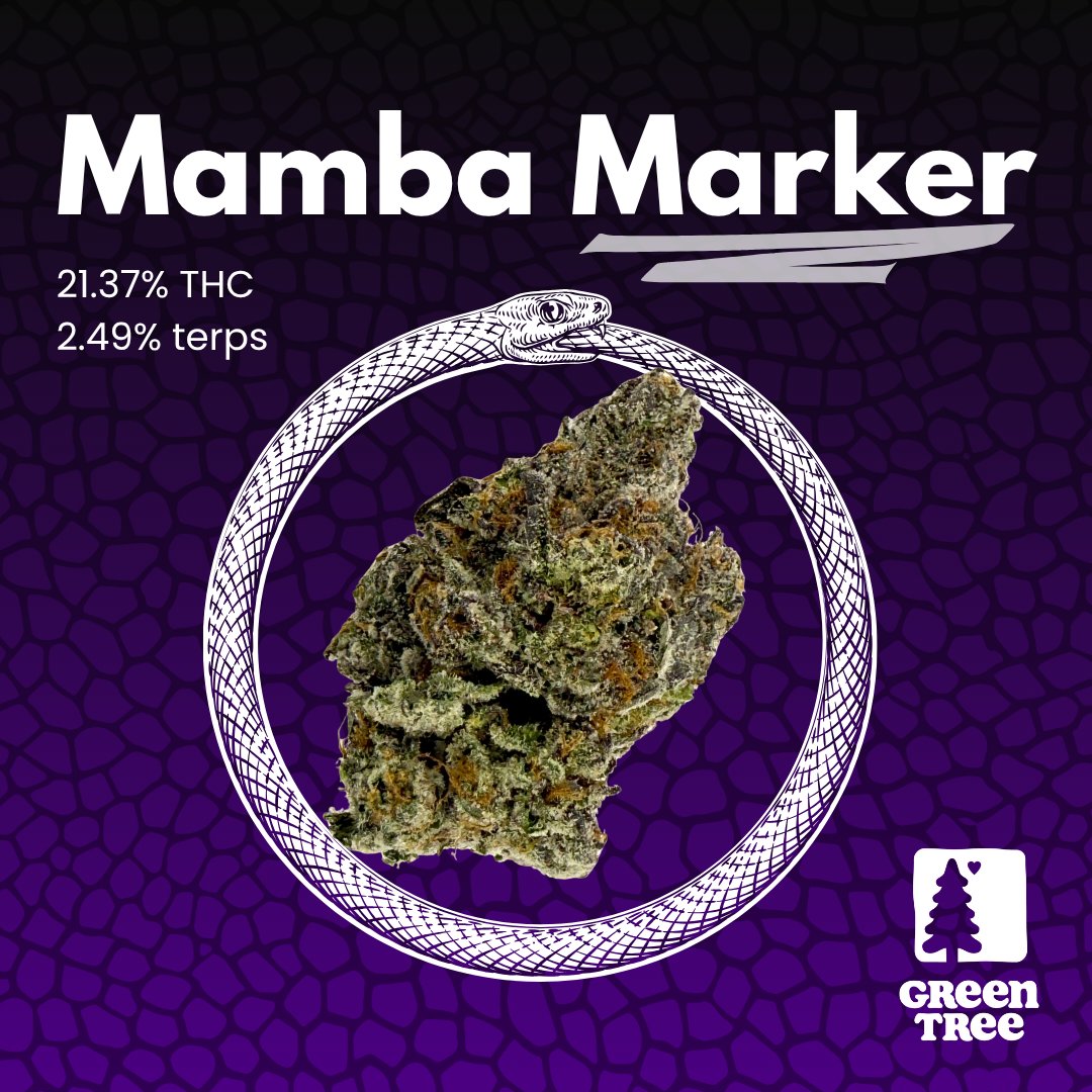 greentreerelief's tweet photo. 🔥 Two fresh drops just landed at Green Tree 🔥

💎 Blue Platinum 41 — 26.74% THC, 2.01% terps
🐍 Mamba Marker — 21.37% THC, 2.49% terps

Available now: https://t.co/xo7yT74X95

#MichiganCannabis #NewDrop #BluePlatinum41 #MambaMarker #CannabisCommunity #GreenTreeRelief https://t.co/dlyAIHVFr9
