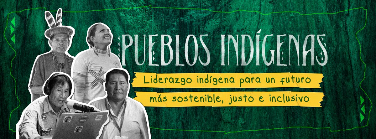 PNUDperu's tweet photo. En este Día Internacional de los Pueblos Indígenas, celebramos su liderazgo. Su participación activa está fortaleciendo la conservación de bosques, la prevención de conflictos, el acceso a la justicia y el acceso a información de calidad.

Conoce más: https://t.co/lu8XryFXJe https://t.co/1RZ4qM7Zro