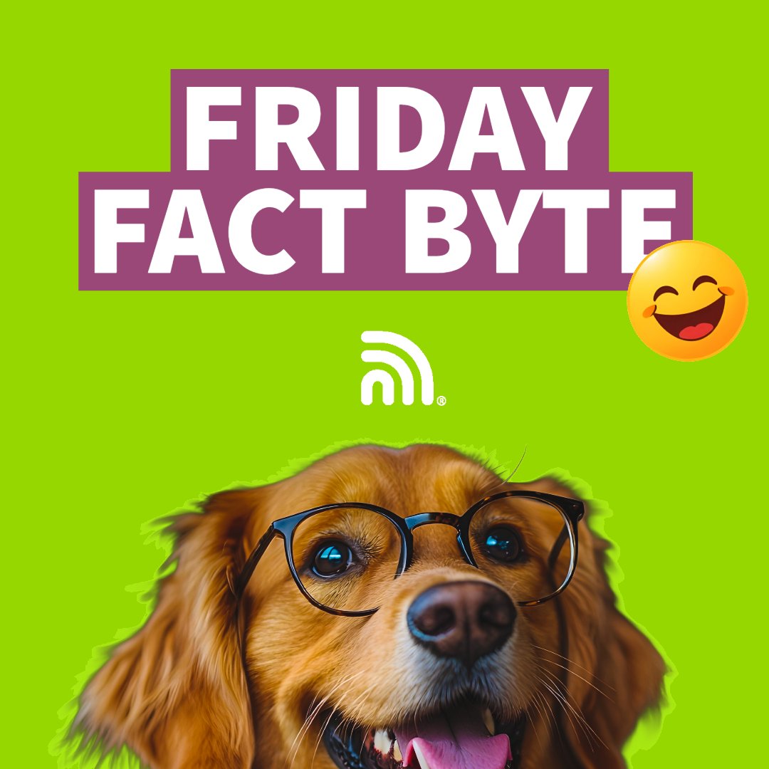 NetAlly's tweet image. Friday Fact Byte🤓 

Did you know that PoE (Power over Ethernet) can deliver up to 100W with the 802.3bt standard -enough to power access points, cameras, and even LED lighting? 

Who even needs power outlets anymore? 🔌

#WiFiTrivia #NetworkHumor #NetAlly