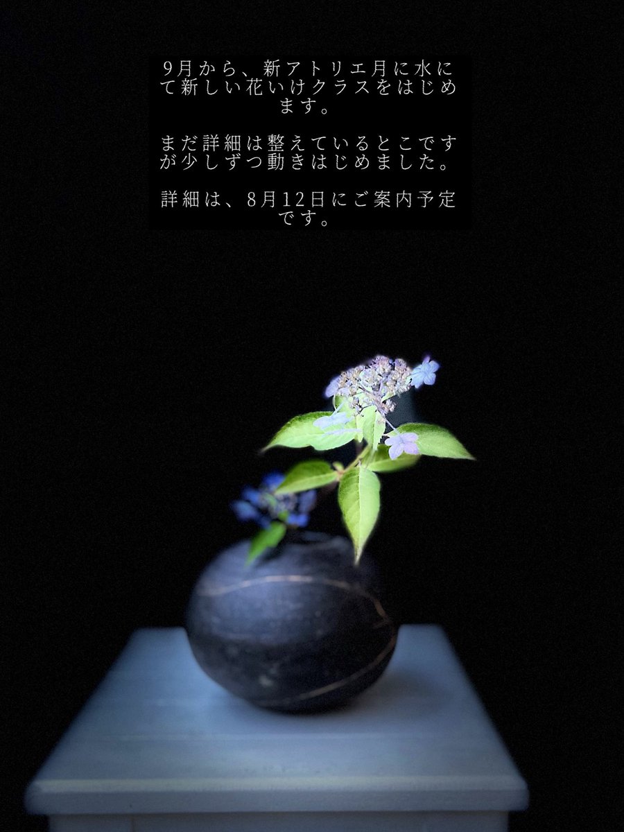 秋から、新アトリエで新しいクラスをはじめます。

まだ詳細は整えているところですが、少しずつ動きはじめました。

詳細は、8月12日にご案内予定です。