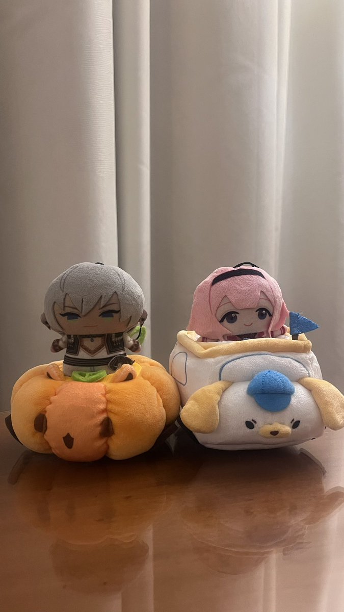 こたろす💞🦩 tweet media