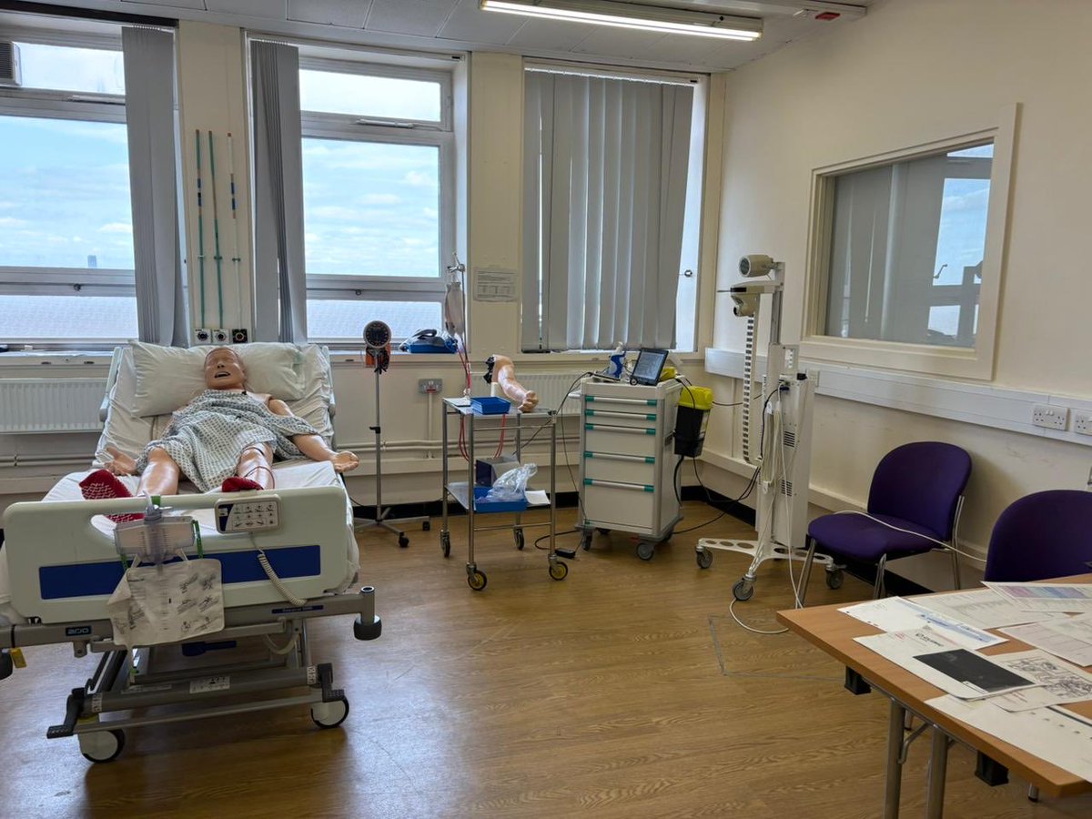 Sohaa Jamil tweet media