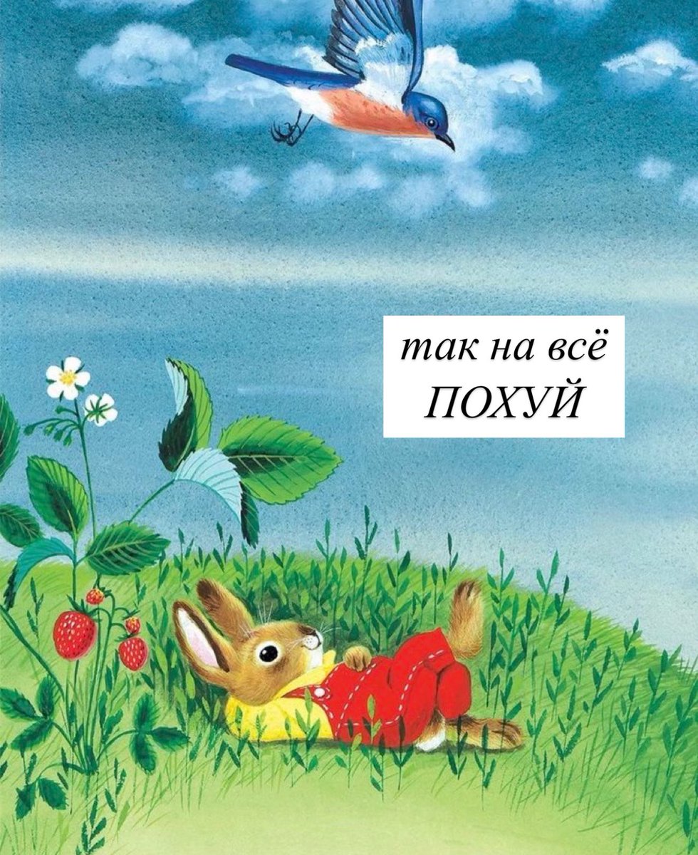 Очень люблю такие картинки со зверушками похуистами в разных вариациях, всегда сохраняю когда попадаются, и вот их накопилось уже много, да будет тред