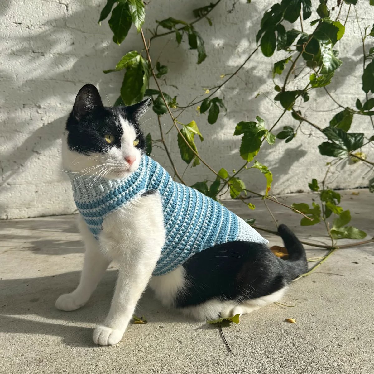 LionBrandYarn's tweet photo. 🐾✨ Serving cattitude and cozy vibes for #InternationalCatDay! 😻🧶 How cute is this sweater?! 
Feels Like Butta® Yarn: https://t.co/FfOq30W2vo
📷 aether.stitch (IG) | Pattern: Lottie and Lulu's Striped Sweater by lottieandlulucrochet (IG) 
.
#CatInSweater #Meow #catday #crochet #crochetlove #yarn #yarncrafts