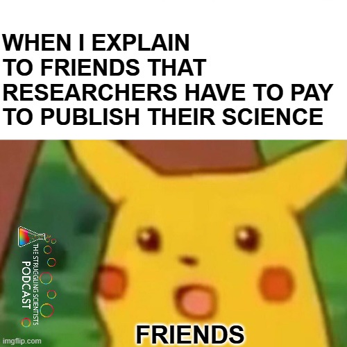 "What? $3000 to put a PDF online?"