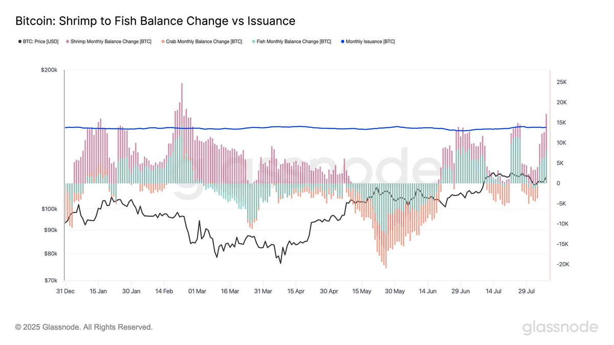 Bitcoin shrimp wallets have bought 17,000 BTC over the past month, compared  to 13,850 BTC issuance. Even the little guys are outpacing the miners. 🦐📈