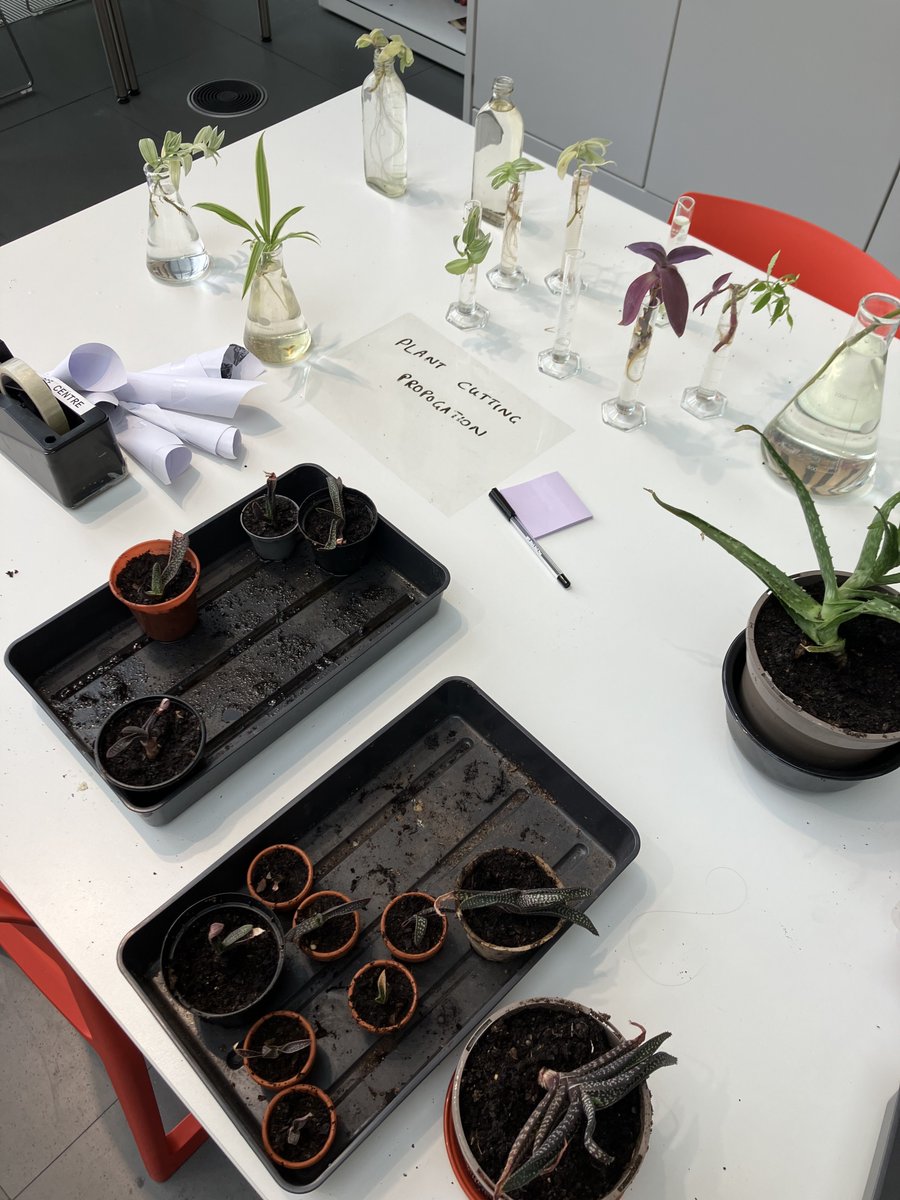 MCRMetTech's tweet image. Photos from this year&apos;s Estates, Facilities &amp;amp; Campus Development and Technical Services Summer Festival! Featuring crafts, choir performances, clothes &amp;amp; plant swaps and much more, the day was a chance to get creative, catch up with colleagues, and enjoy some afternoon tea 🫖🍰