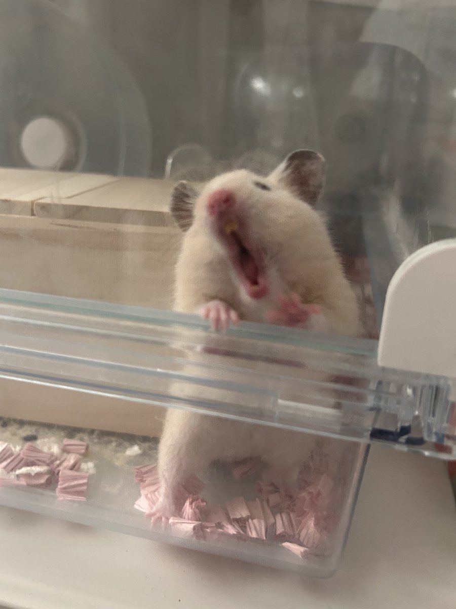 部屋んぽは終わりましたよ！！！！！！！！！！！！！！！！！！！！！！！！！！！！