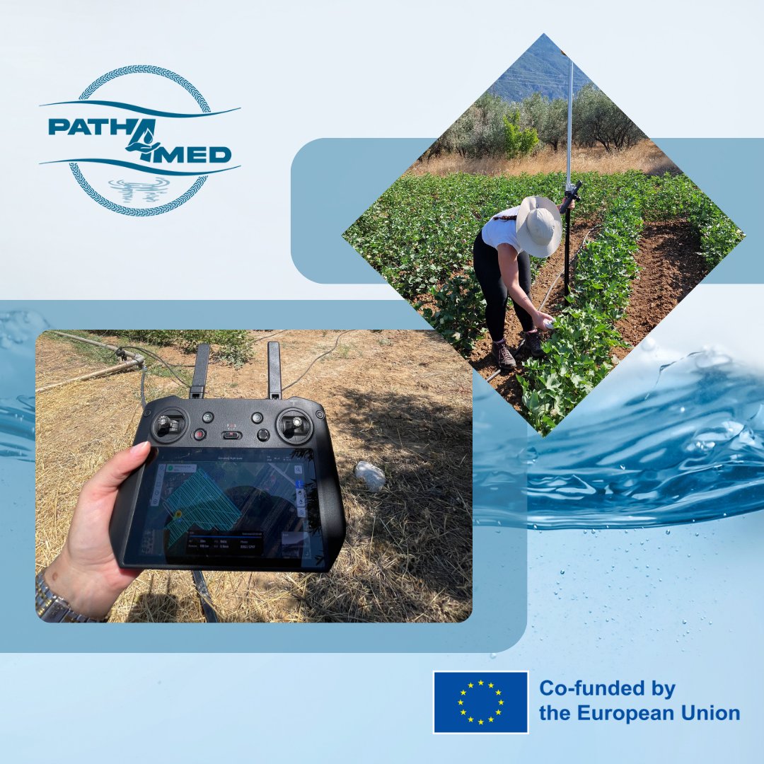 Path4Med tweet media