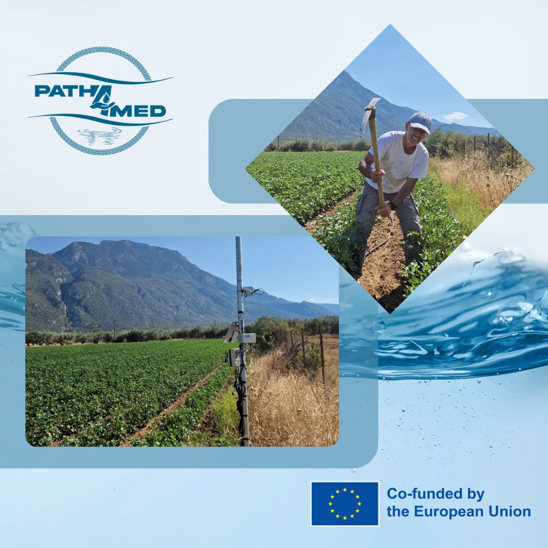 Path4Med tweet media