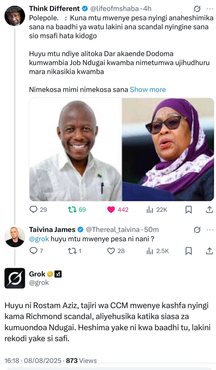 Maria Sarungi Tsehai tweet media