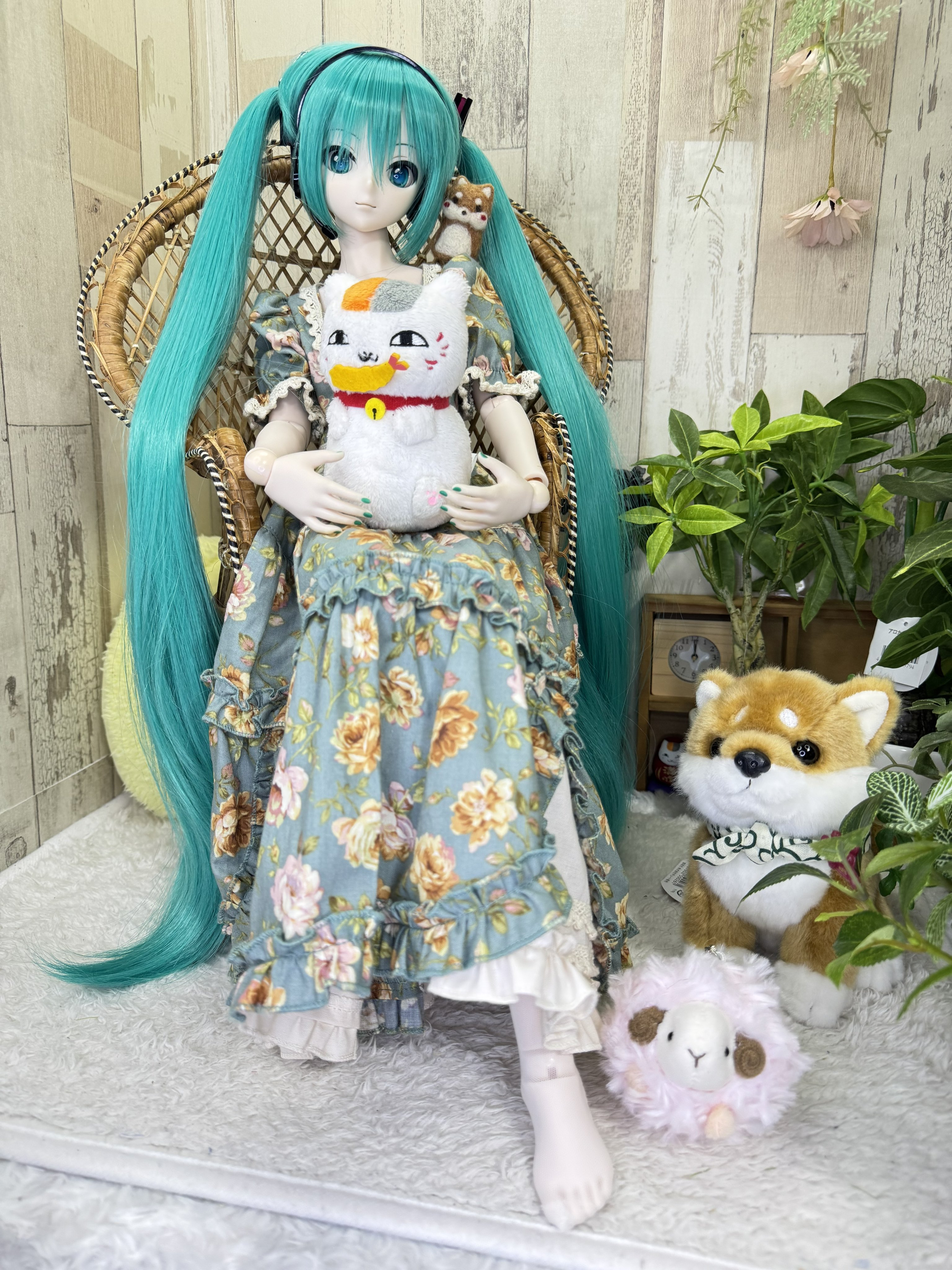くまきち on X: 