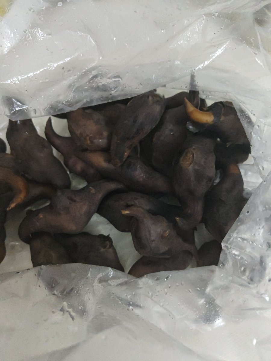 这个在你们老家叫什么？