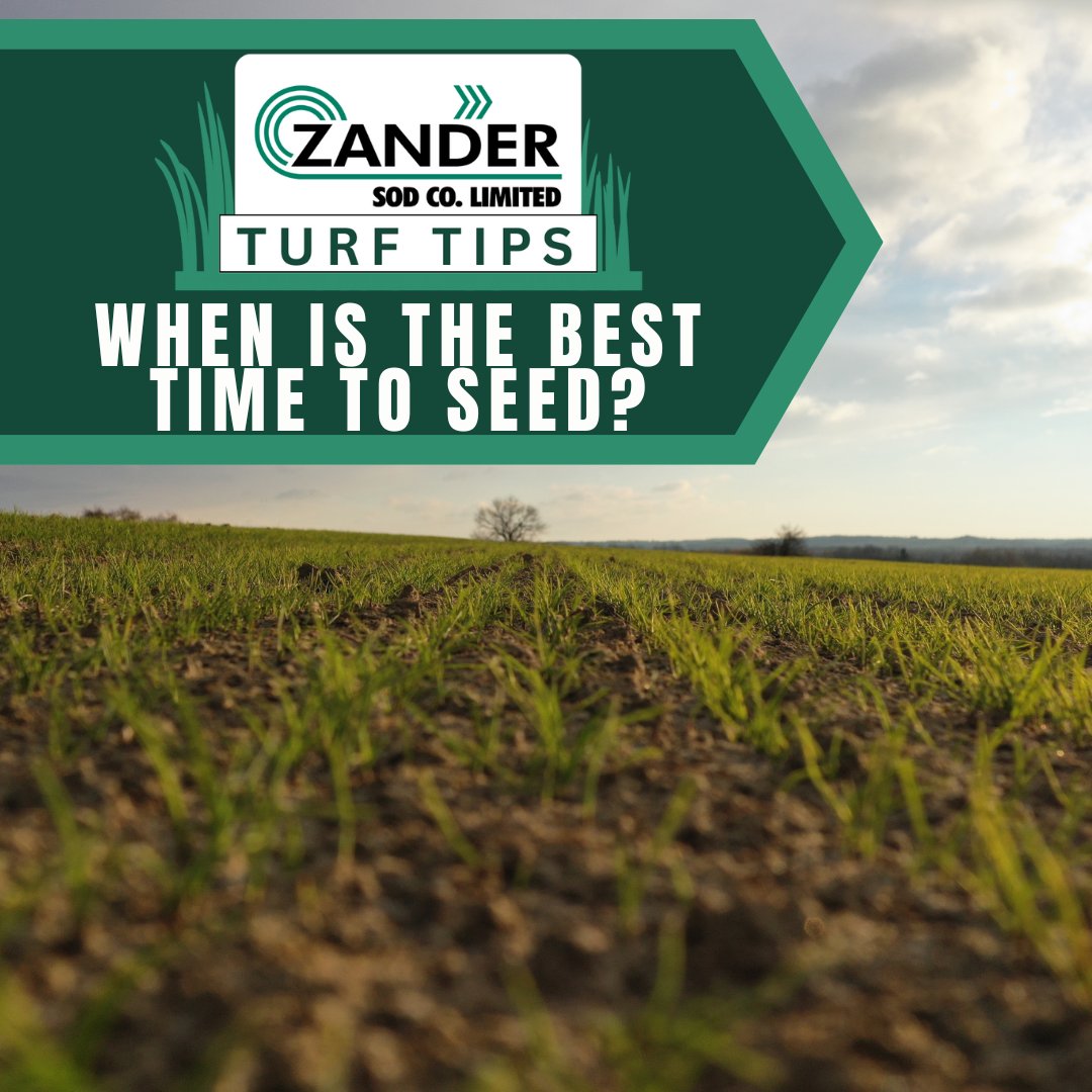 Mid August to Mid September is the best time. Why?⁠
🌞 Cooler nighttime temperatures⁠
🌞 Increased precipitation⁠
🌞 Less weed pressure⁠
🌞 Long establishment window before winter⁠
⁠
Visit l8r.it/g3M4 to get your seed today!
