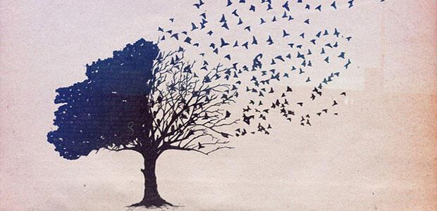 Andreas Seraphim tweet media